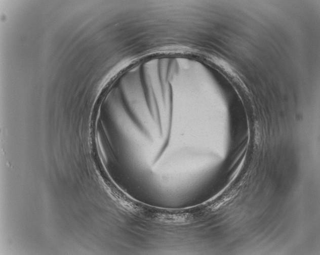 X0000060781229200511241811