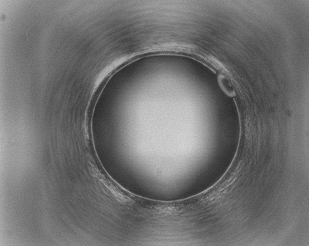 X0000060781230200511241811