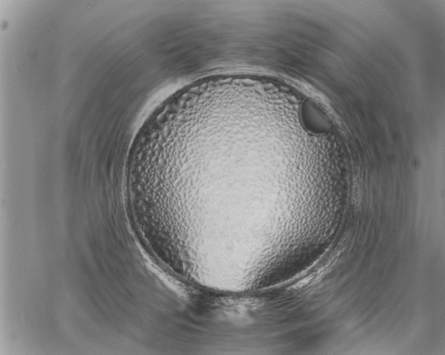 X0000060781231200511241811