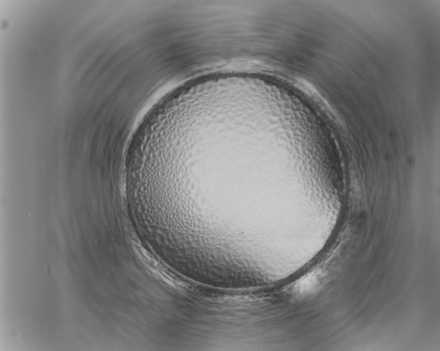 X0000060781232200511241811