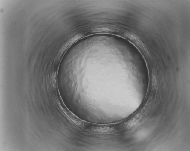 X0000060781233200511241811