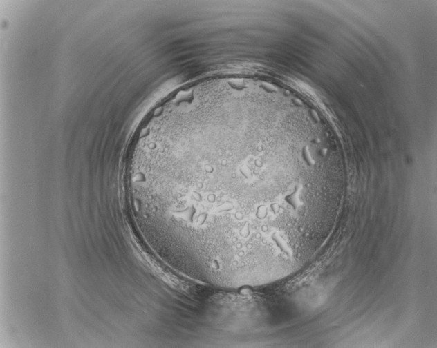 X0000060781235200511241811