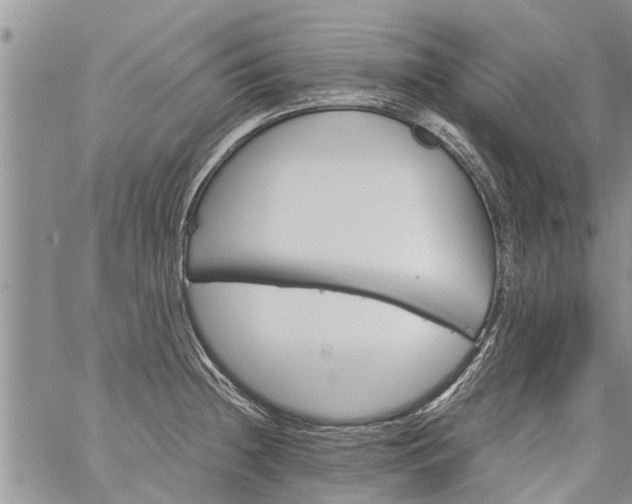 X0000060781236200511241811