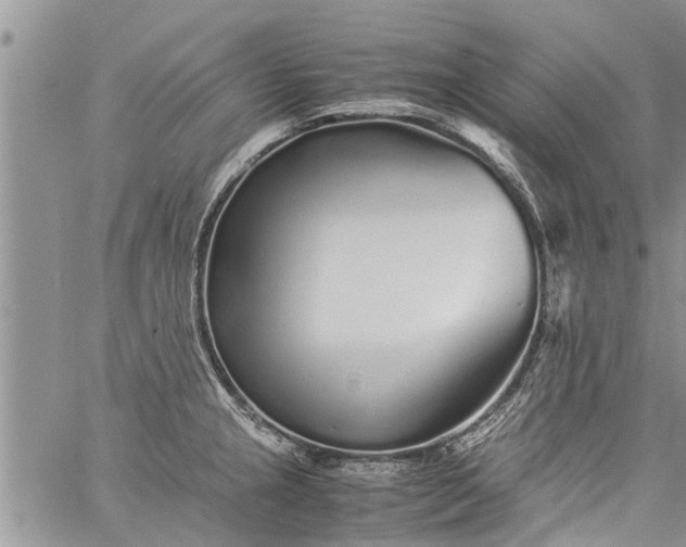 X0000060781237200511241811