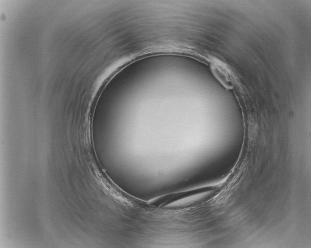 X0000060781238200511241811