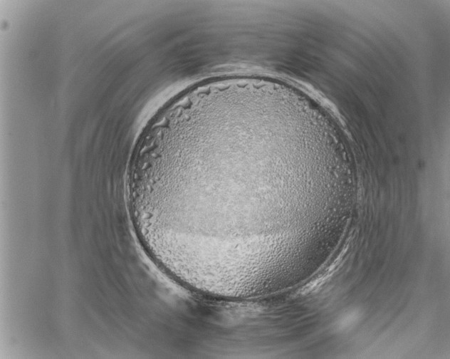 X0000060781239200511241811