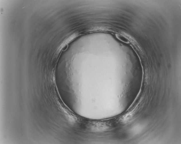 X0000060781241200511241811