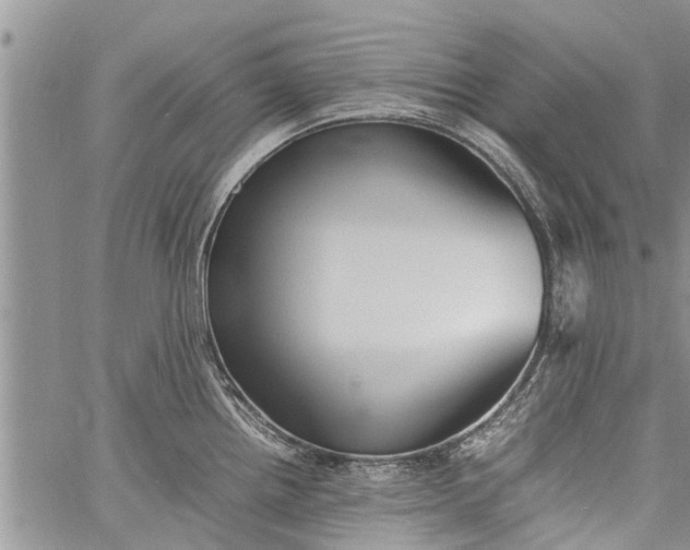 X0000060781242200511241811