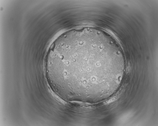 X0000060781243200511241811