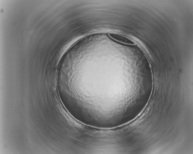 X0000060781244200511241811