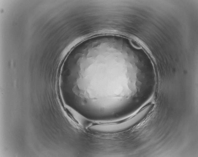 X0000060781245200511241811