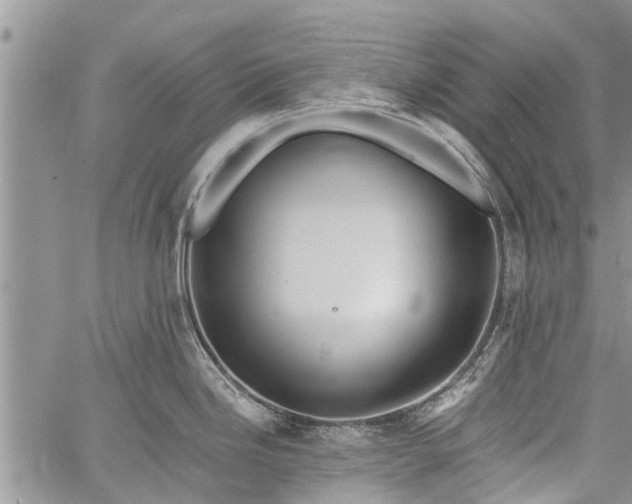 X0000060781246200511241811