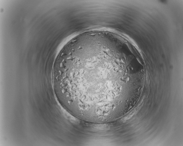 X0000060781247200511241811