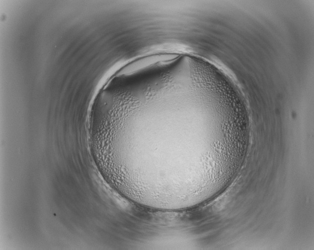 X0000060781248200511241811