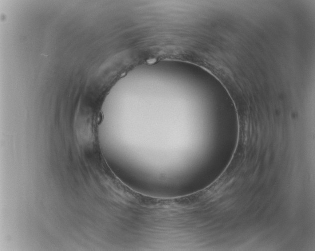 X0000060781250200511241811