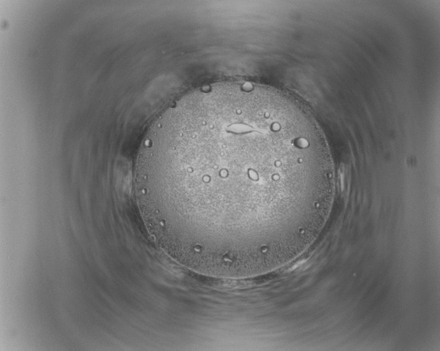 X0000060781251200511241811