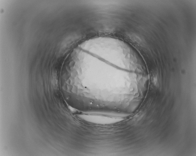 X0000060781252200511241811