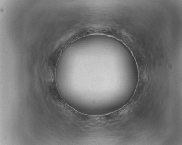 X0000060781253200511241810