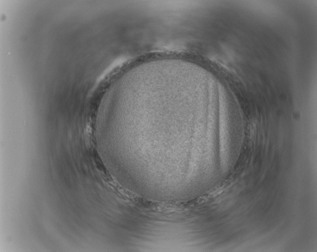 X0000060781254200511241810