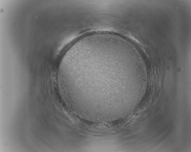 X0000060781255200511241810