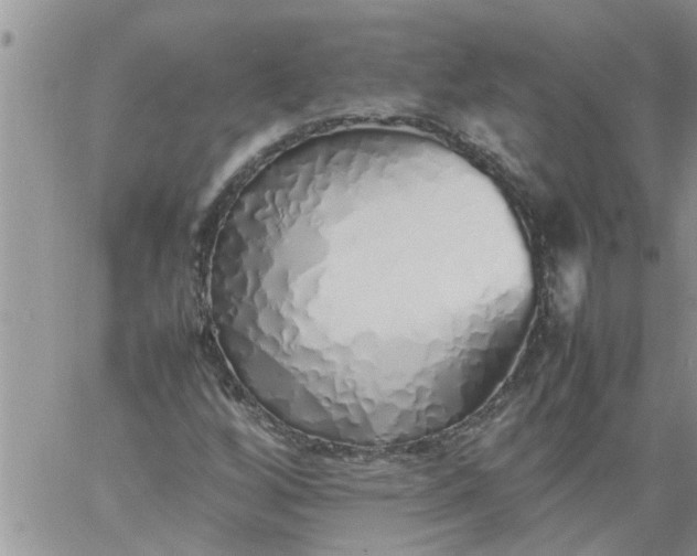 X0000060781256200511241810