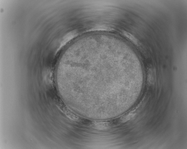 X0000060781258200511241810