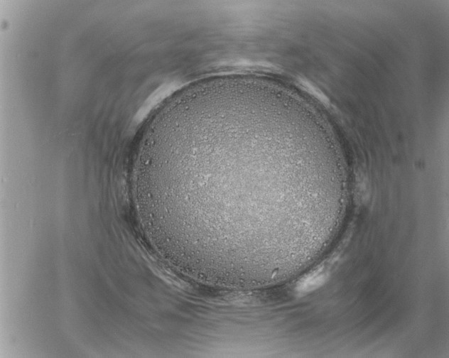 X0000060781259200511241810