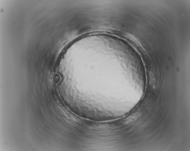 X0000060781260200511241810