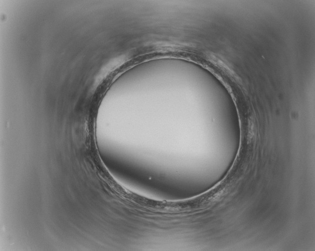 X0000060781261200511241810