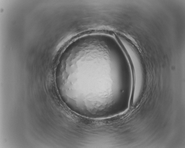 X0000060781263200511241810