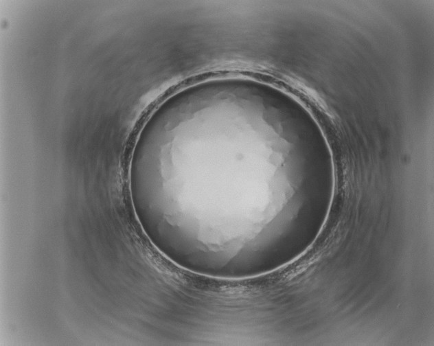 X0000060781264200511241810