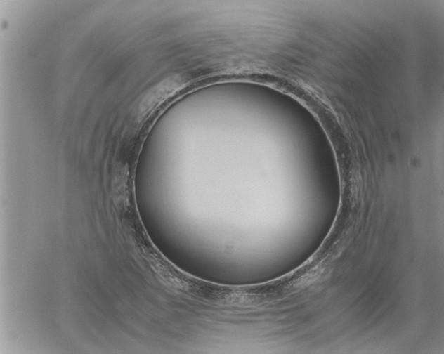 X0000060781265200511241810