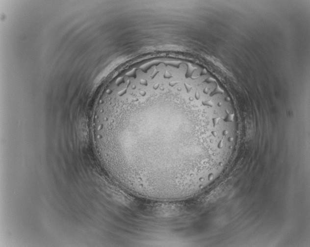 X0000060781266200511241810