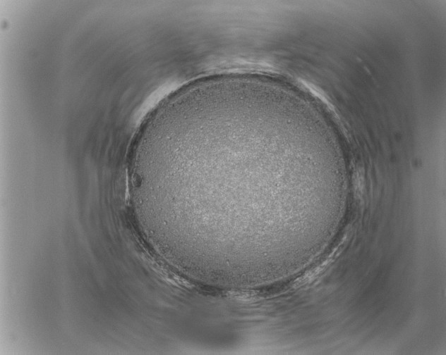 X0000060781267200511241810