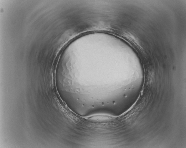 X0000060781268200511241810