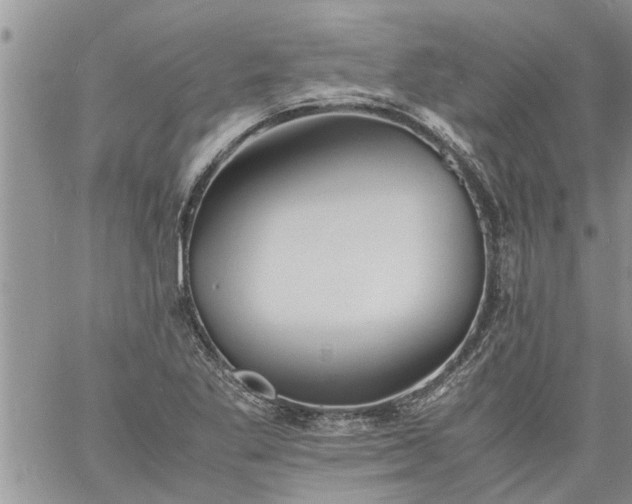 X0000060781269200511241810