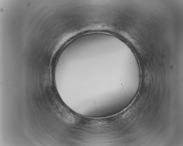 X0000060781270200511241810