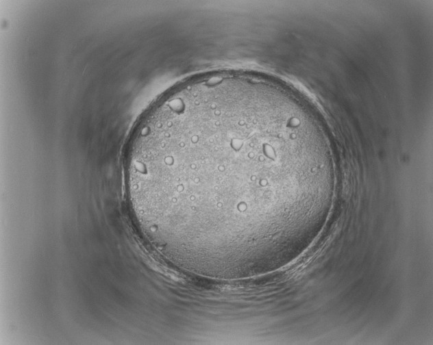 X0000060781271200511241810