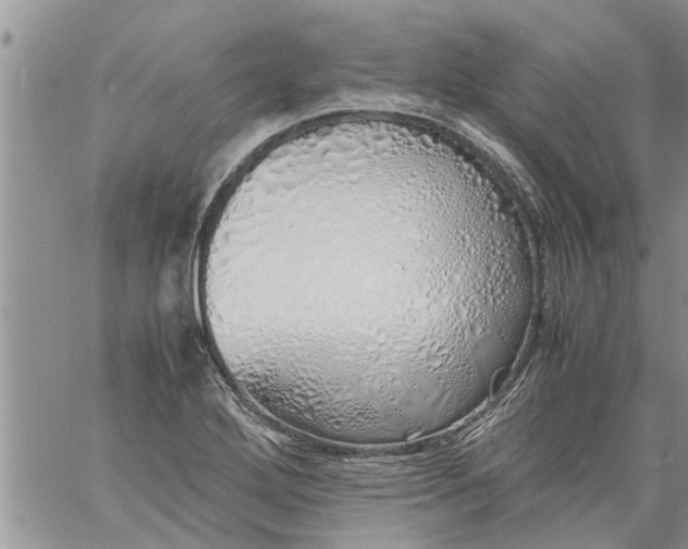 X0000060781272200511241810