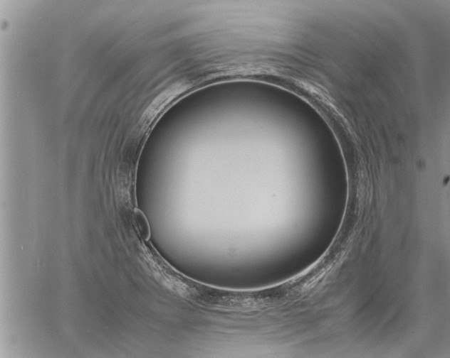 X0000060781273200511241810