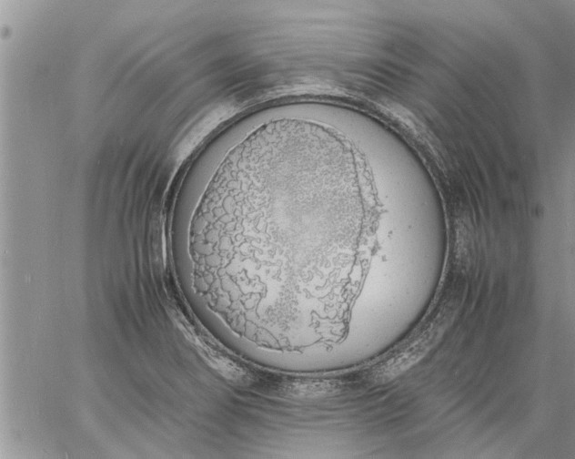 X0000060781274200511241810