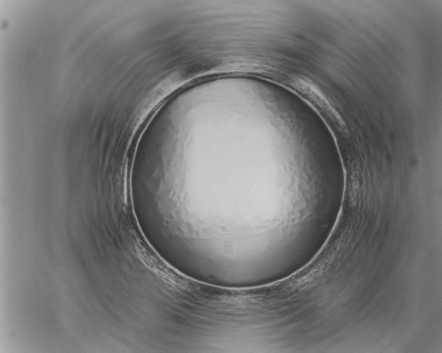 X0000060781276200511241810