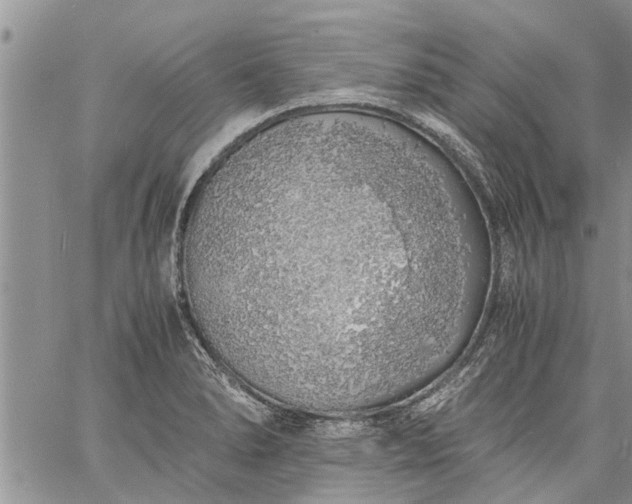 X0000060781278200511241810