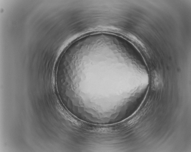 X0000060781280200511241810