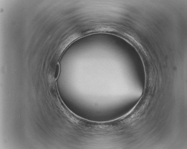 X0000060781281200511241810