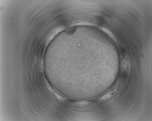 X0000060781282200511241810