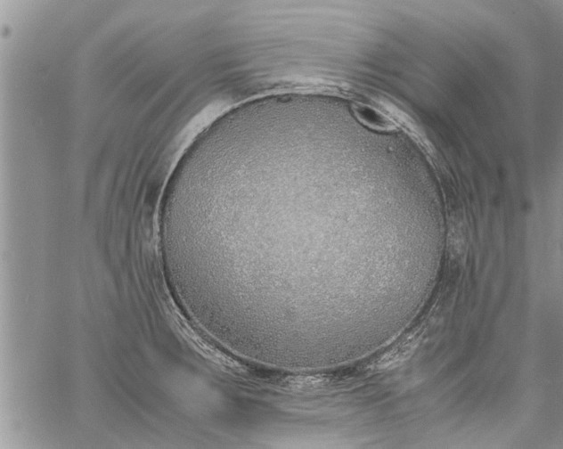 X0000060781283200511241810