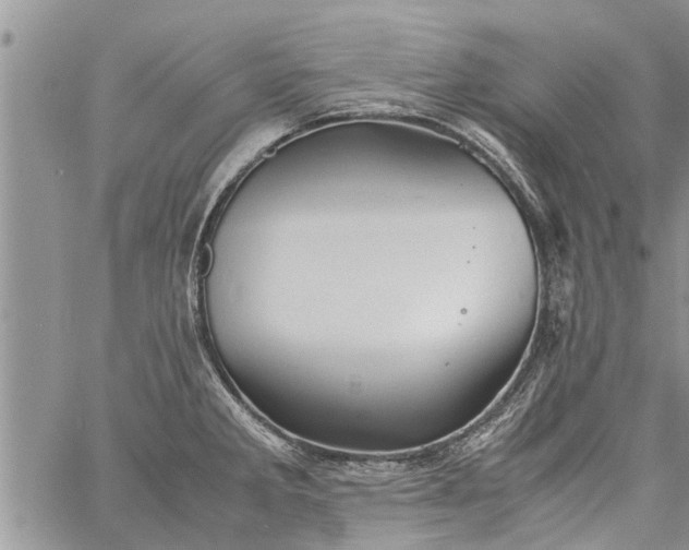 X0000060781285200511241810