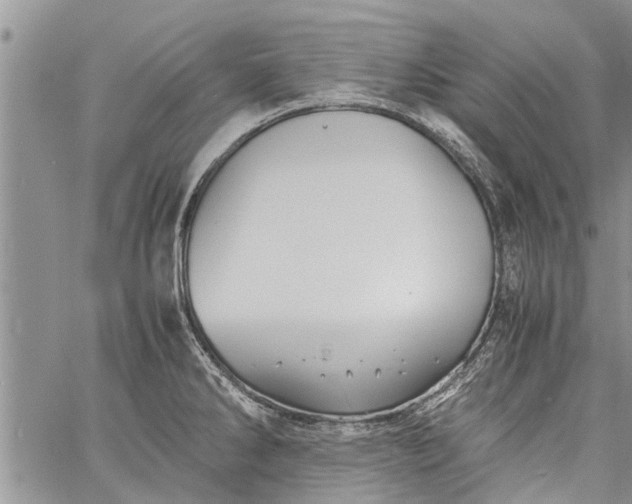 X0000060781286200511241810