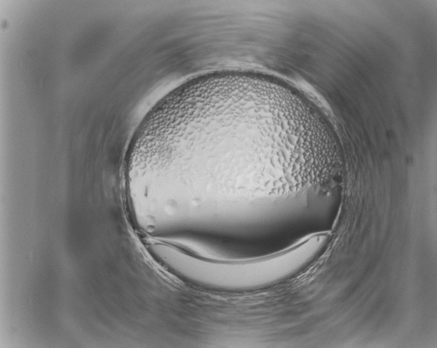 X0000060781287200511241810